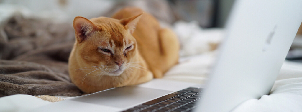 Are subscription models hthe future for finance brands