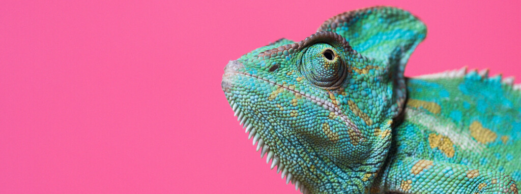 Avoid your annual market outlook blending in