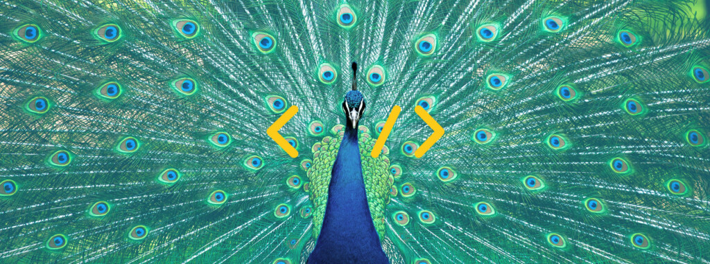 How finance marketers can use schema to boost SEO