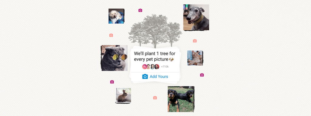 Why finance brands should care about this Instagram trend